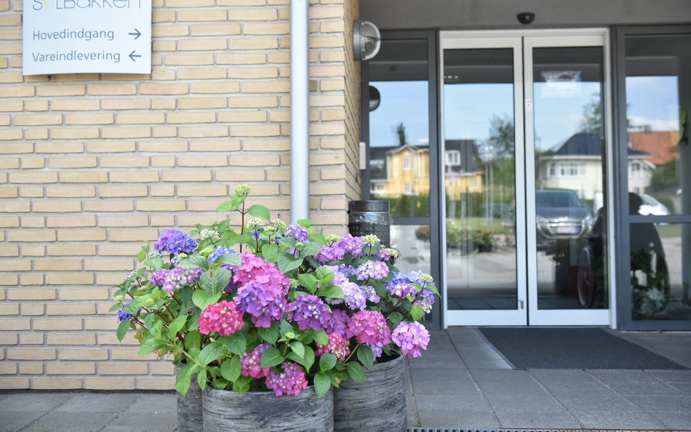 Blomster på Solbakken