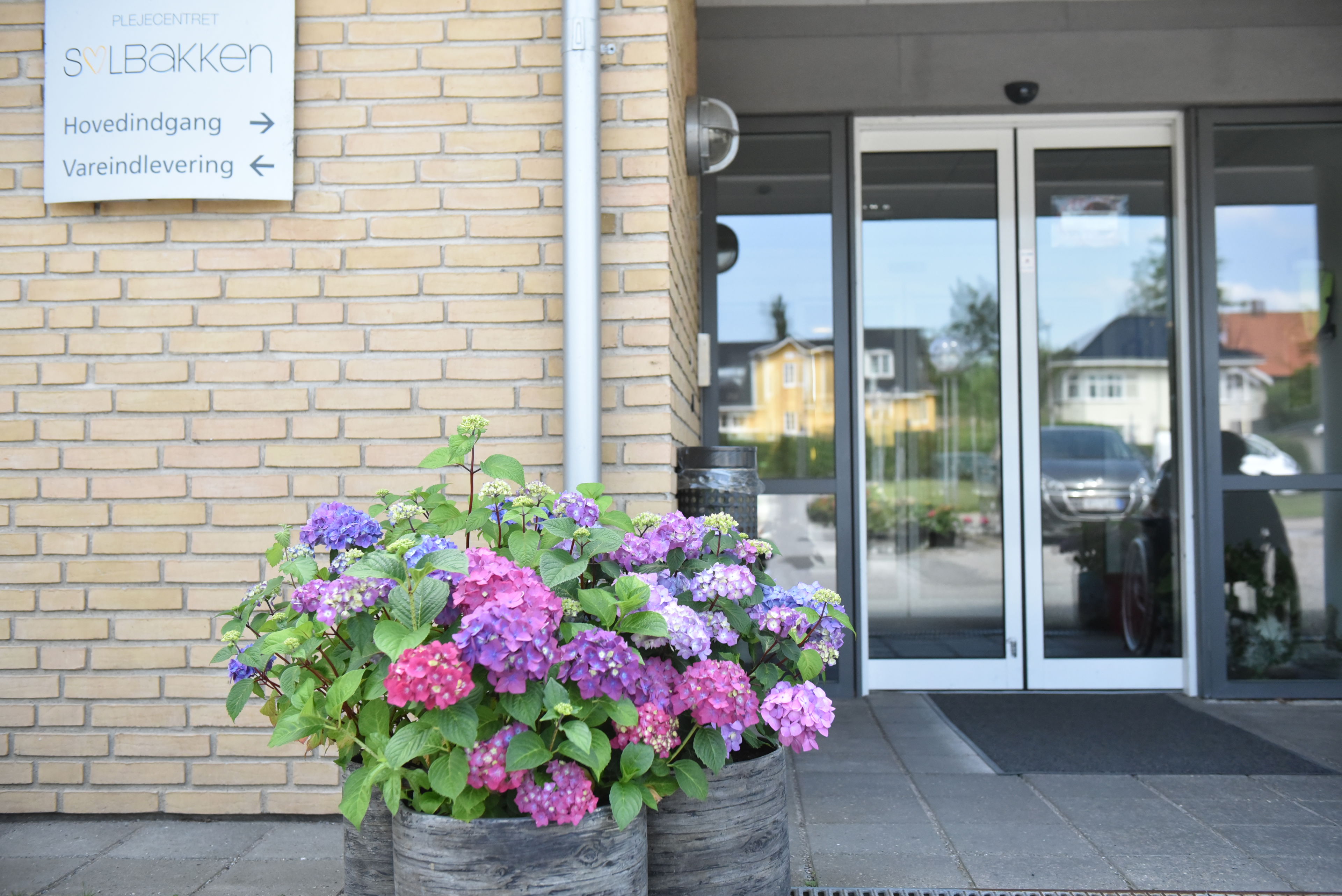 Blomster på Solbakken