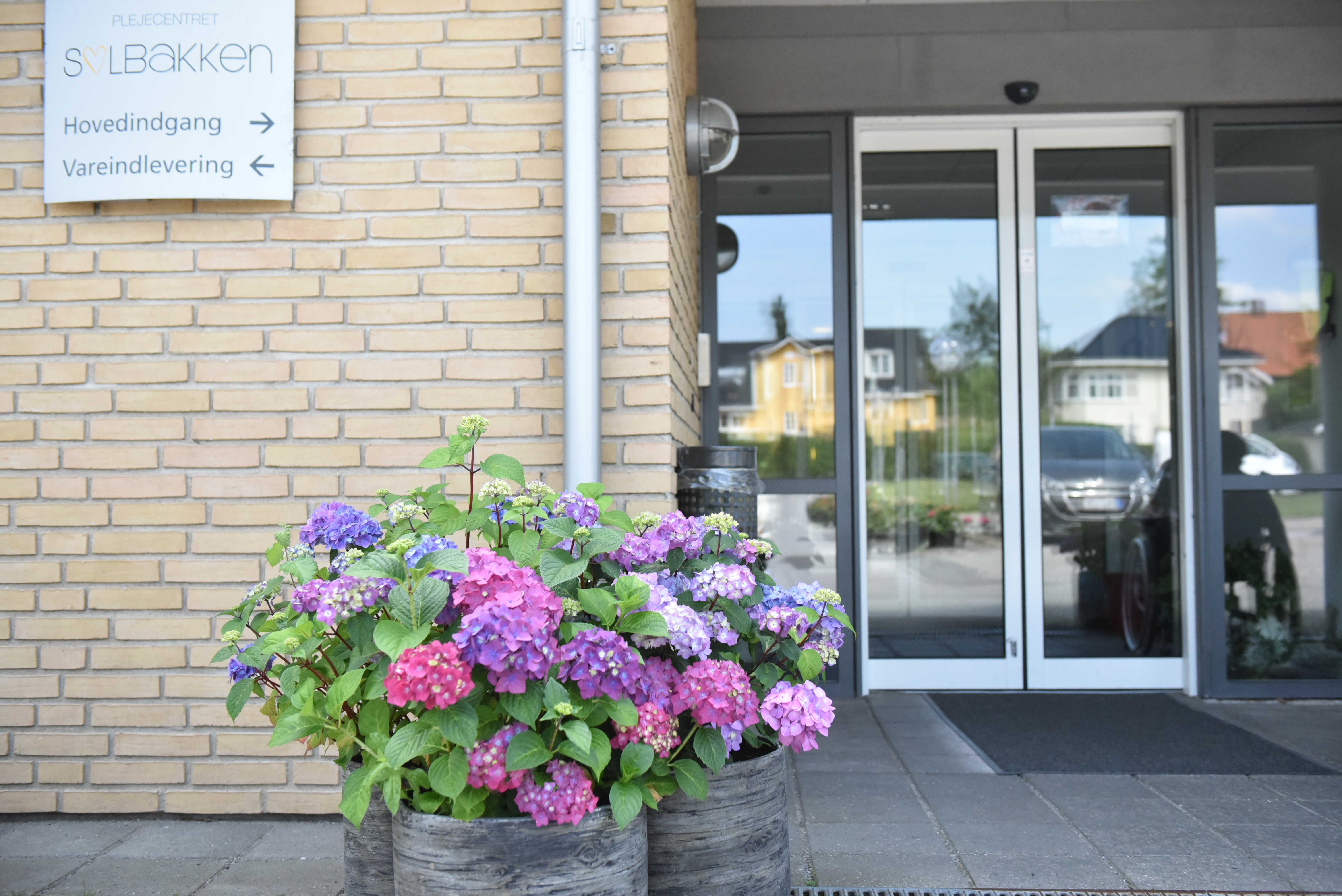 Blomster på Solbakken