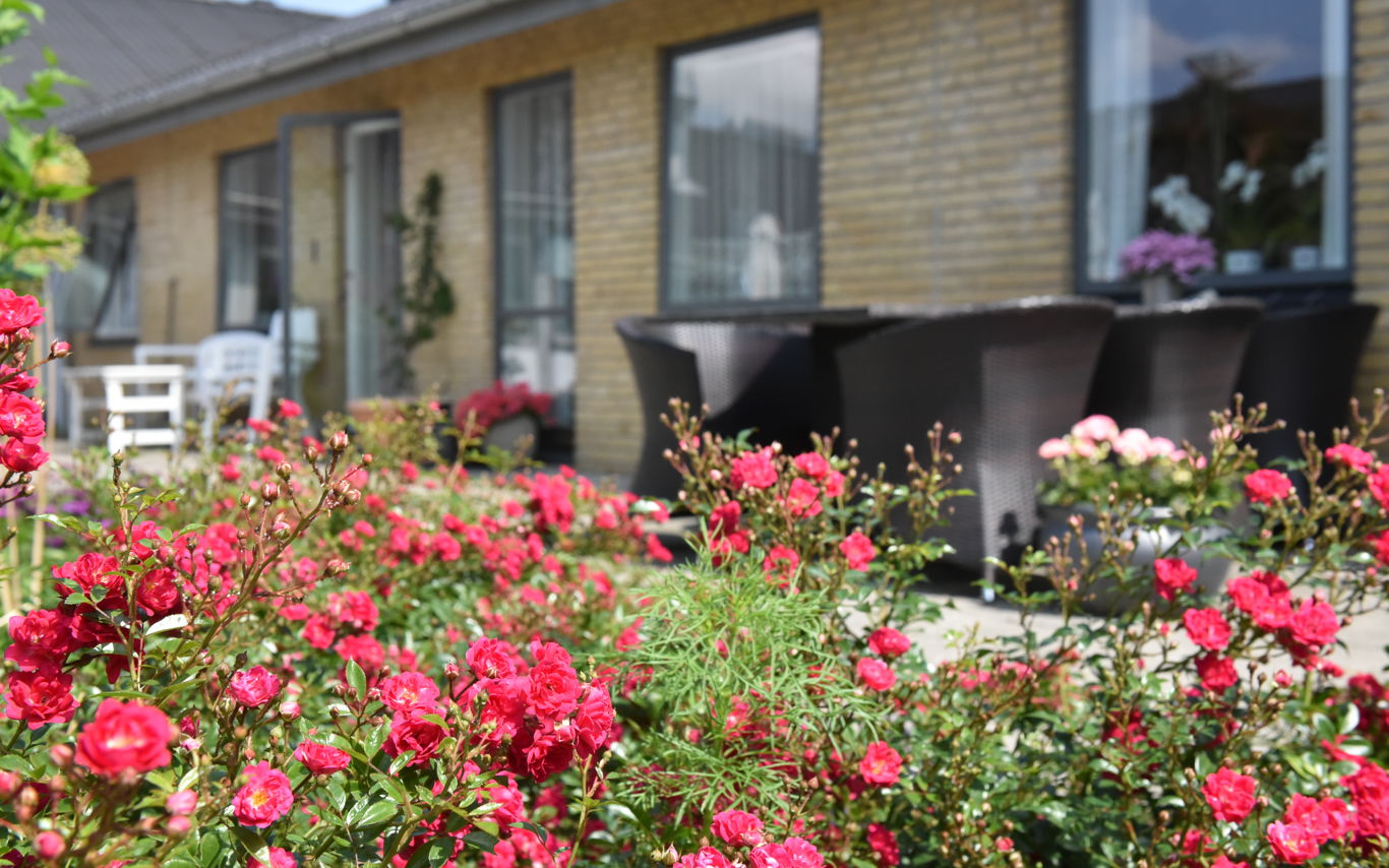 Blomster på Solbakken