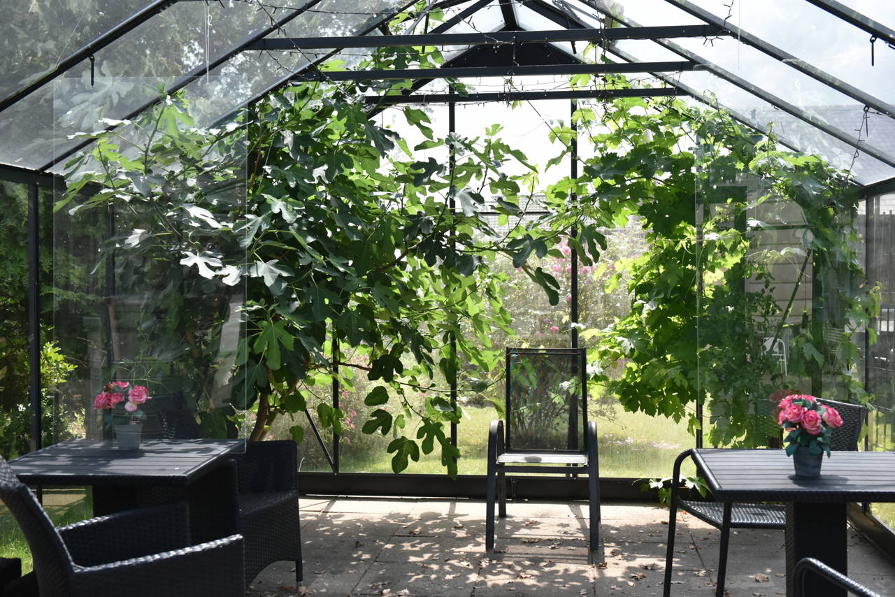 Drivhus på Solbakken