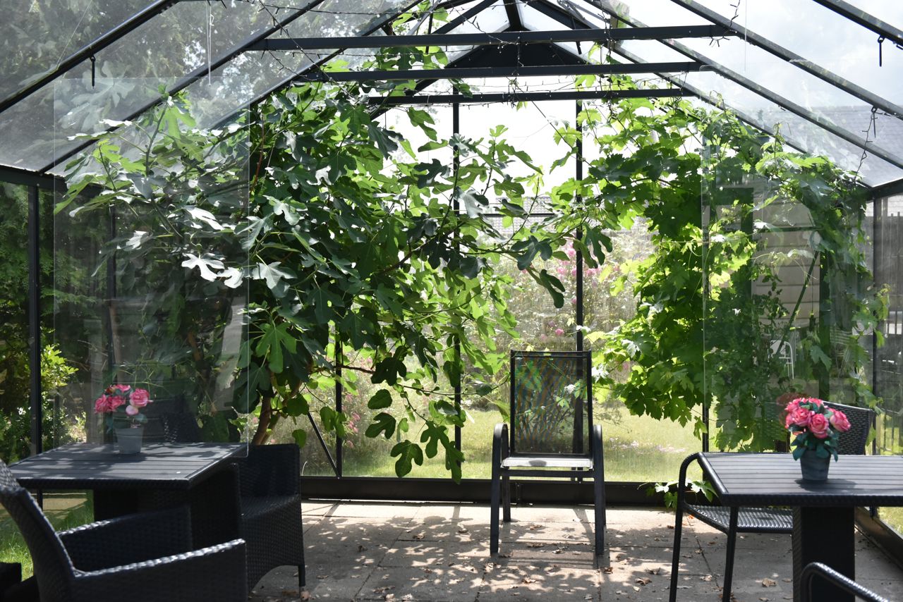 Drivhus på Solbakken