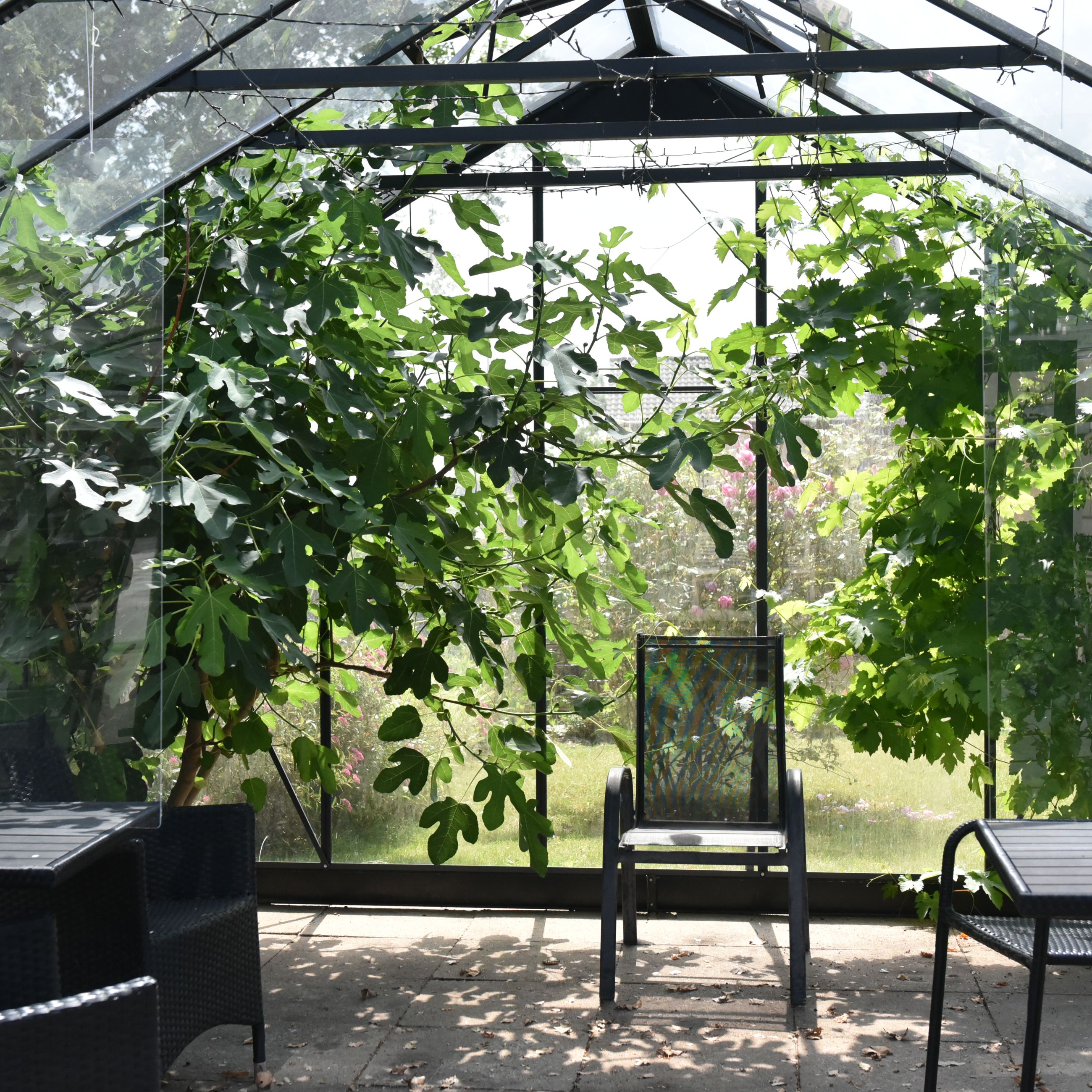 Drivhus på Solbakken