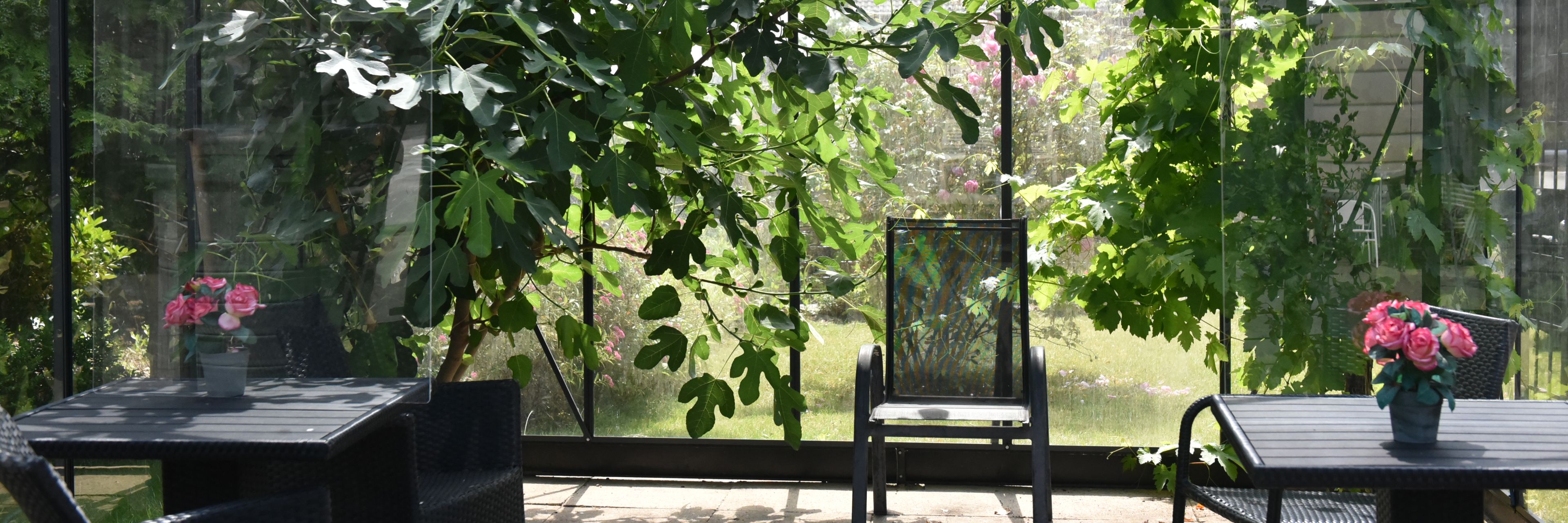 Drivhus på Solbakken